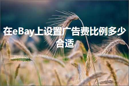 免费推广的网站 跨境电商知识:在eBay上设置广告费比例多少合适